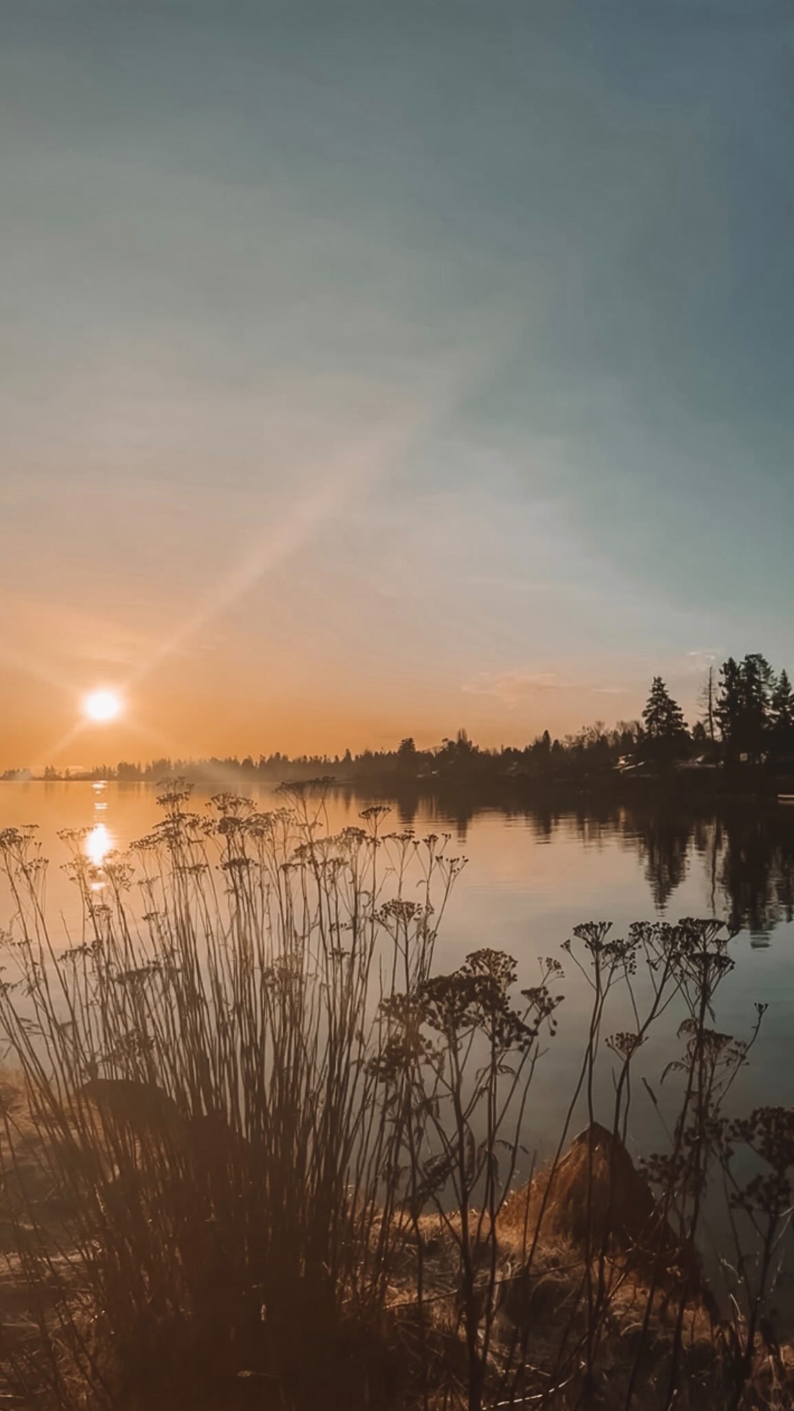 life hack: get outside for a walk✌🏼